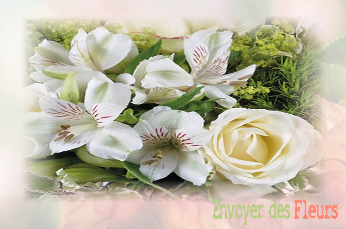envoyer des fleurs à à CROIX-EN-TERNOIS